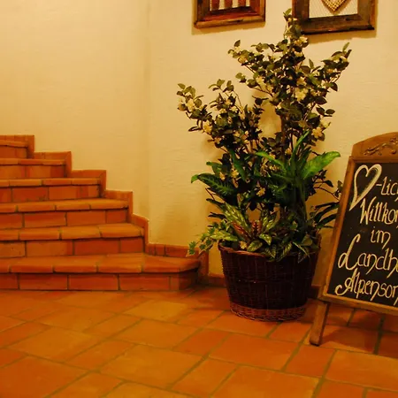 Alpensonne * Schattwald